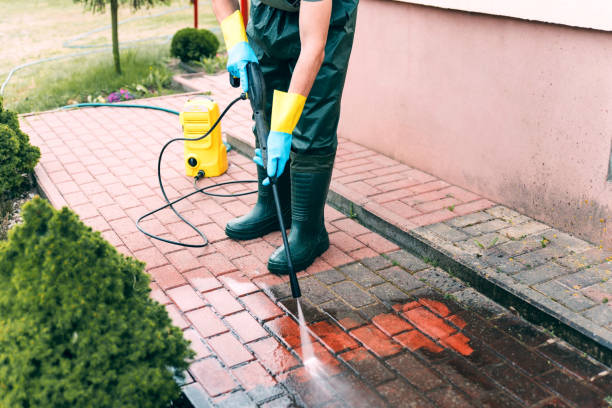 Best Roof Washing  in Homer, MI